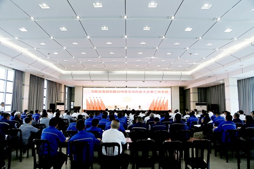 集团公司召开党代会补选两名第五届党委委员