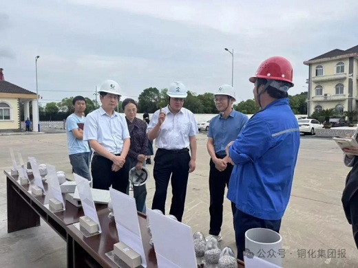 九三学社黄山市委员会走进六国化工绿阳建材开展专题调研