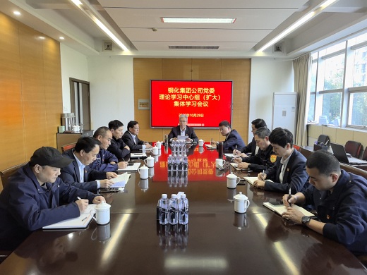 集团公司党委传达学习党的二十届四中全会精神