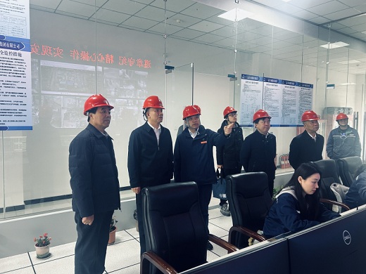 宿州市领导走访调研中元化工